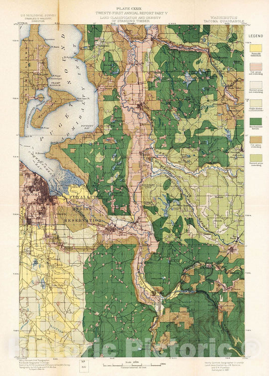 Historic Map : Geologic Atlas - 1900 Plate CXXIX. Tacoma Quadrangle, Washington, Land Classification and Density of Standing Timber. - Vintage Wall Art