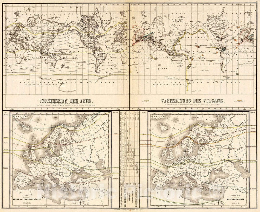 Historic Map : 1886 Isotherms of the earth. Spreading of the Volcanos. Trees and bush plants in Europe. Cultural plants in Europe. - Vintage Wall Art