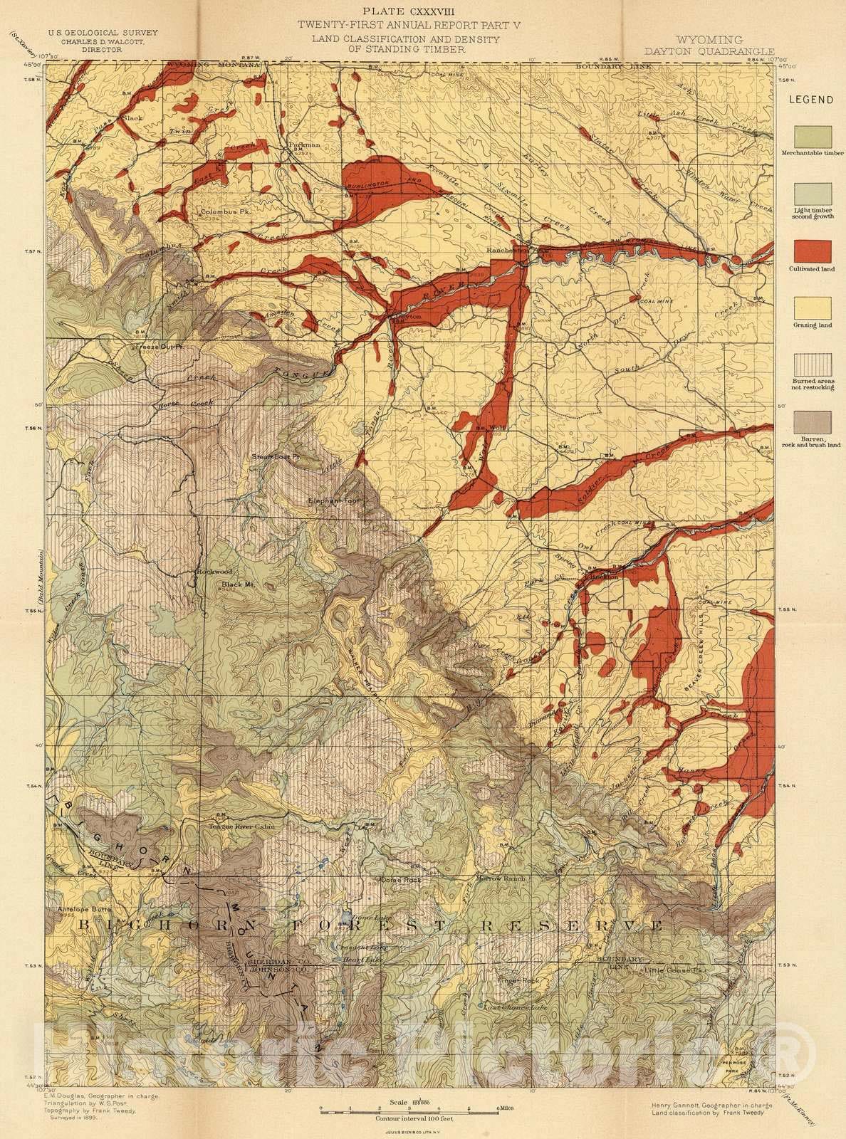 Historic Map : Geologic Atlas - 1900 Plate CXXXVIII. Dayton Quadrangle, Wyoming, Land Classification and Density of Standing Timber. - Vintage Wall Art