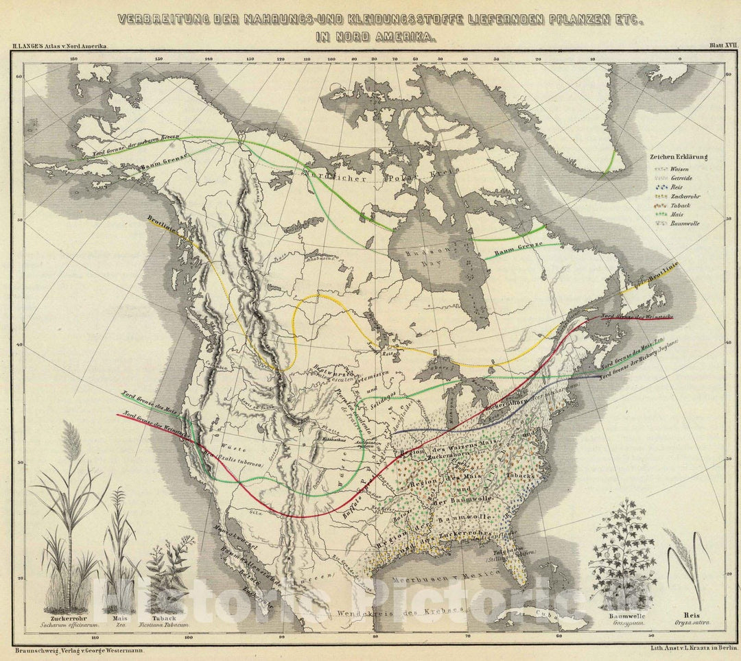 Historic Map : Canada; United States, , North America 1854 Verbreitung der nahrungs- und kleidungsstoffe liefernden Pflanzen etc. in Nord Amerika. , Vintage Wall Art