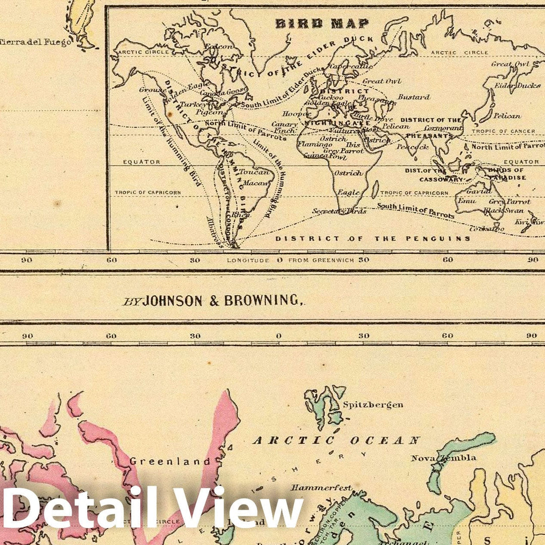 Historic Map : 1860 Map of The World Showing, The Animal Kingdom, Commerce And Navigation. - Vintage Wall Art