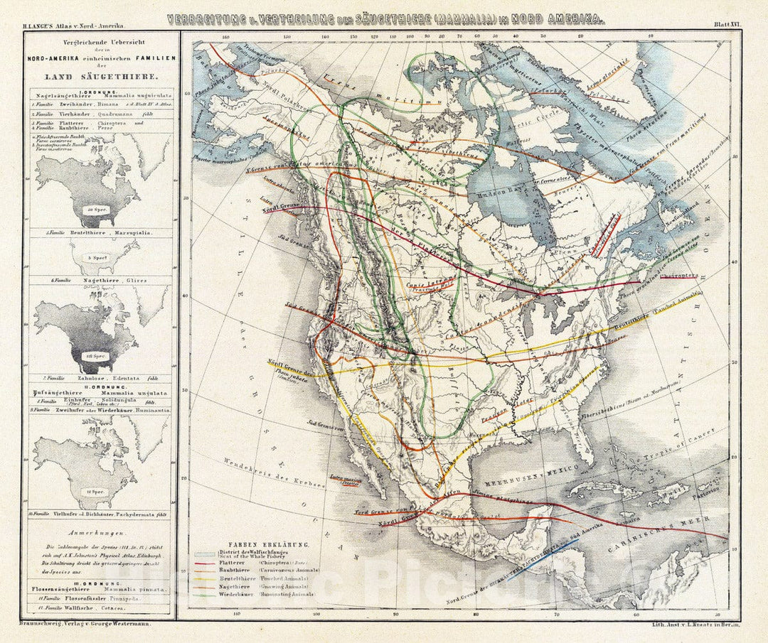 Historic Map : Canada; United States, , North America 1854 Verbreitung u. vertheilung der Saugethiere (Mammalia) in Nord Amerika. , Vintage Wall Art