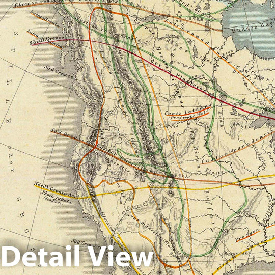 Historic Map : Canada; United States, , North America 1854 Verbreitung u. vertheilung der Saugethiere (Mammalia) in Nord Amerika. , Vintage Wall Art