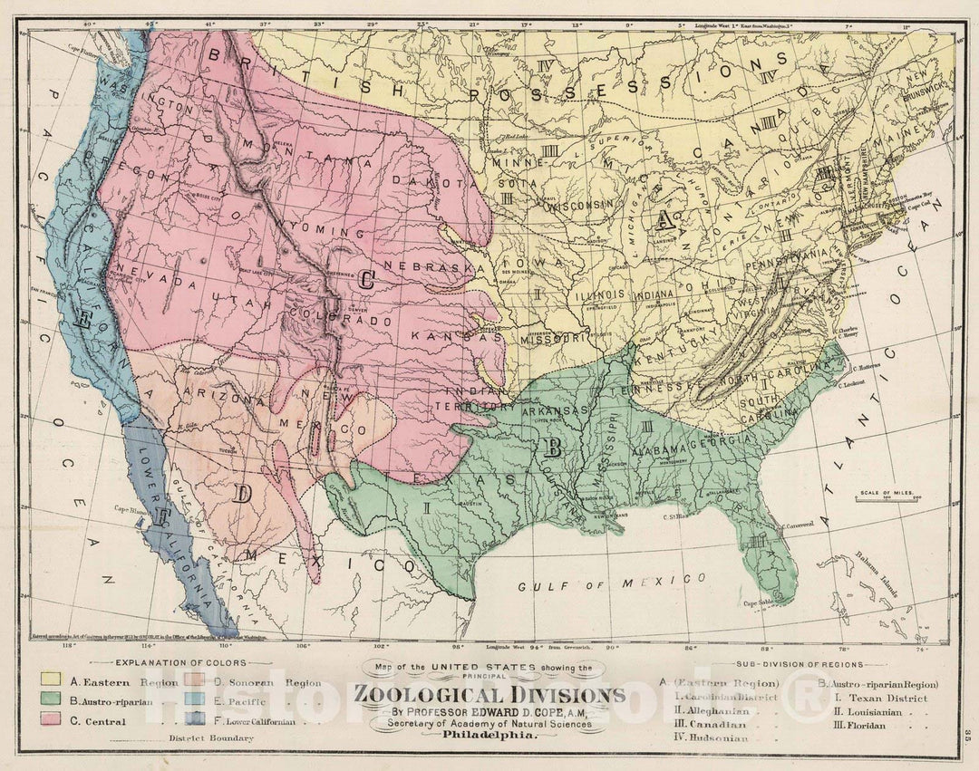 Historic Map : 1874 Zoological Divisions of the United States. - Vintage Wall Art