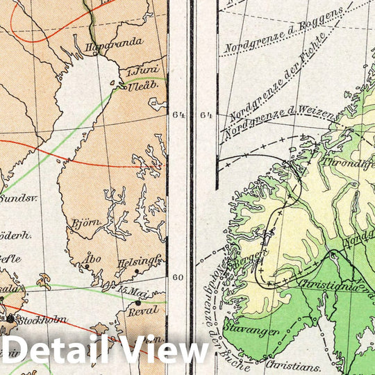 Historic Wall Map : Scandanavia, Europe 1896 Skandinavien. Wanderung der Isothermen. Verbreitung der wichtigeren Pflanzen , Vintage Wall Art