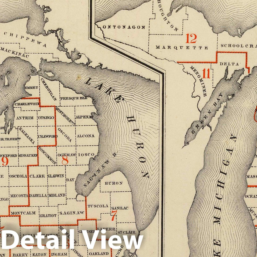 Historic Map : 1873 Maps showing the congressional districts and judicial circuits of Michigan. - Vintage Wall Art