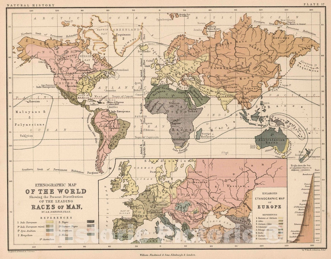 Historic Map : 1852 Ethnographic Map of the World Showing the Present Distribution of the Leading Races of Man. - Vintage Wall Art