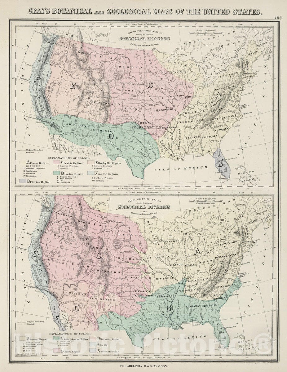 Historic Map : 1878 Gray's Botanical and Zoological Maps of the United States. - Vintage Wall Art