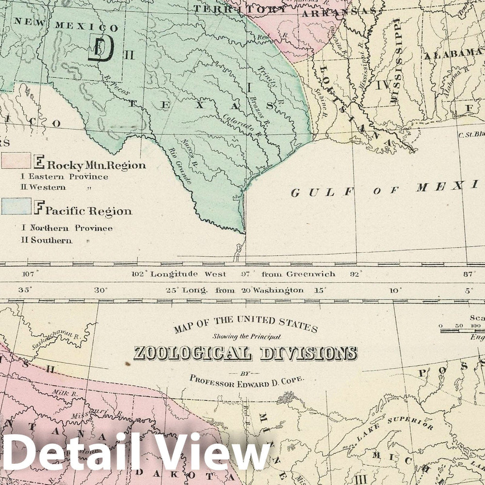 Historic Map : 1878 Gray's Botanical and Zoological Maps of the United States. - Vintage Wall Art