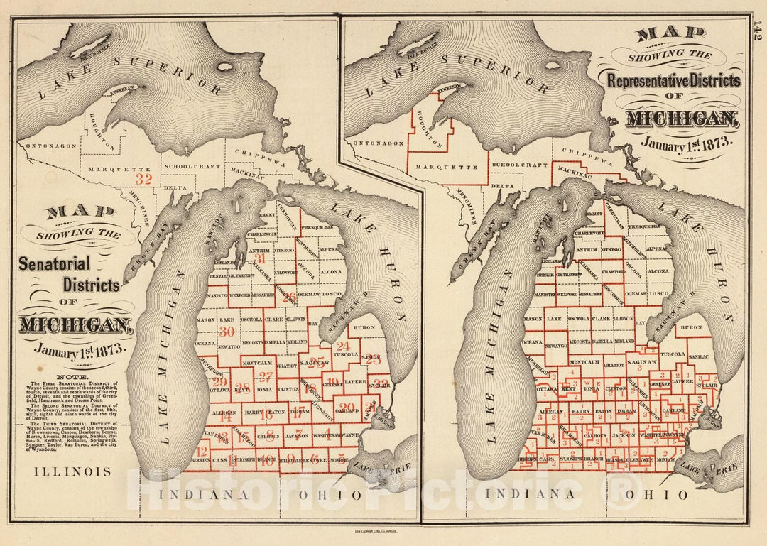 Historic Map : 1873 Maps showing the senatorial and representatives districts of Michigan. - Vintage Wall Art