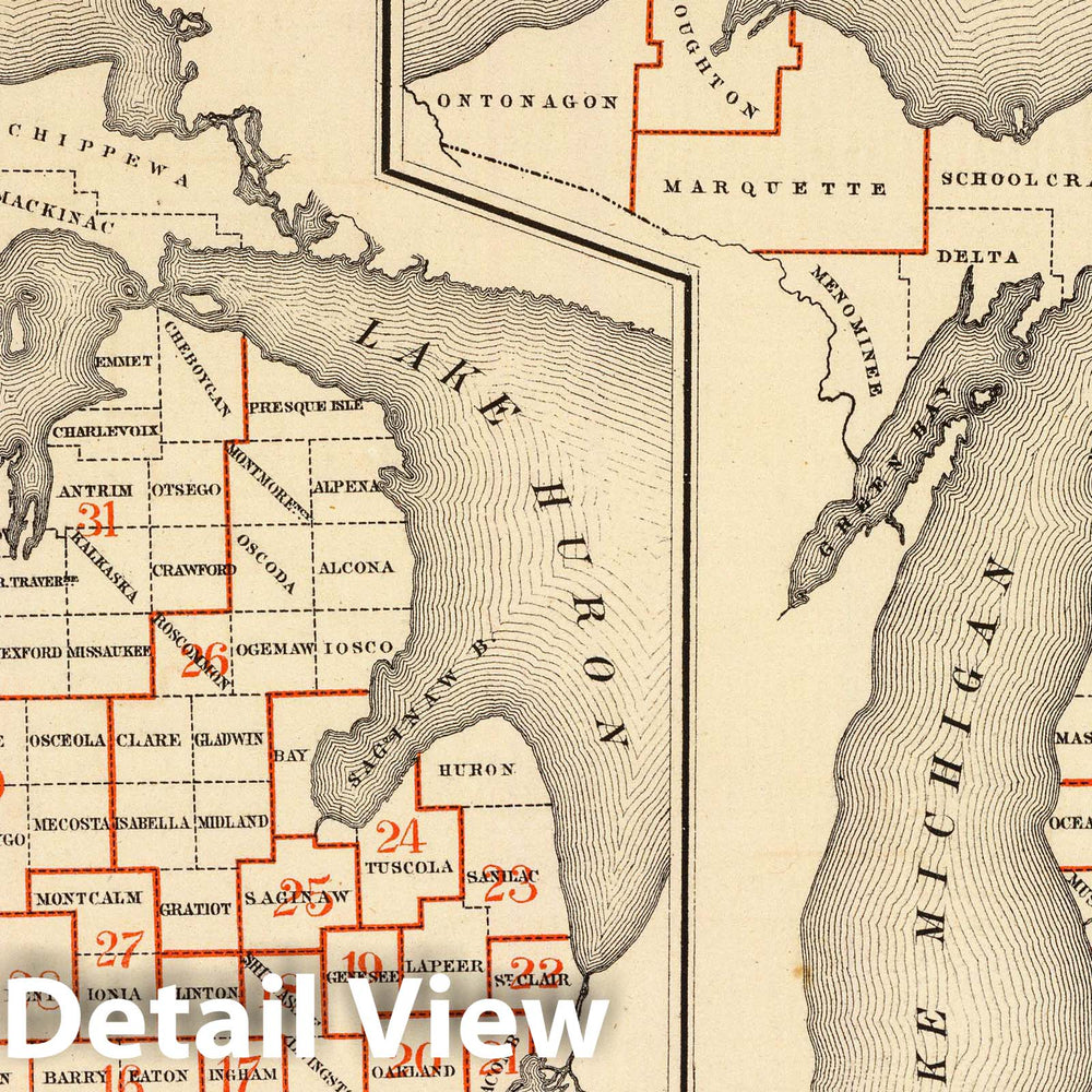 Historic Map : 1873 Maps showing the senatorial and representatives districts of Michigan. - Vintage Wall Art