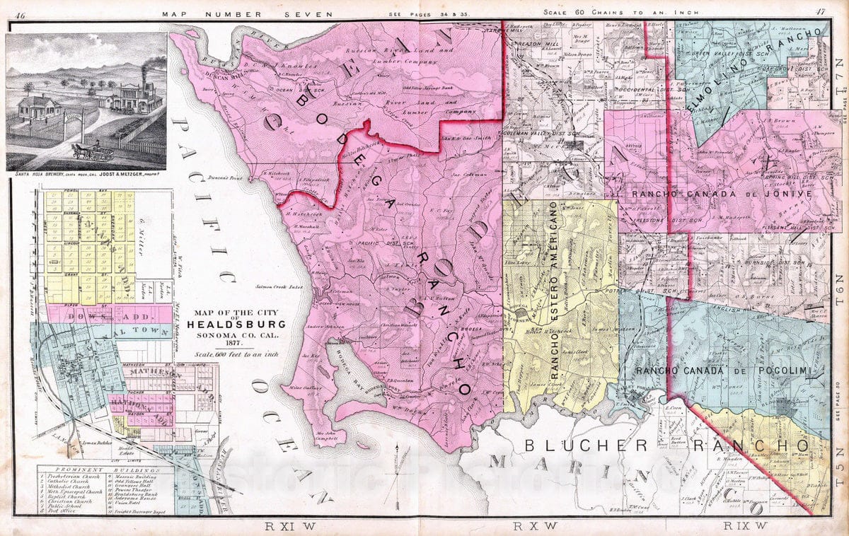 Historic Map : 1877 Ocean, Bodega, and Analy Townships. - Vintage Wall Art