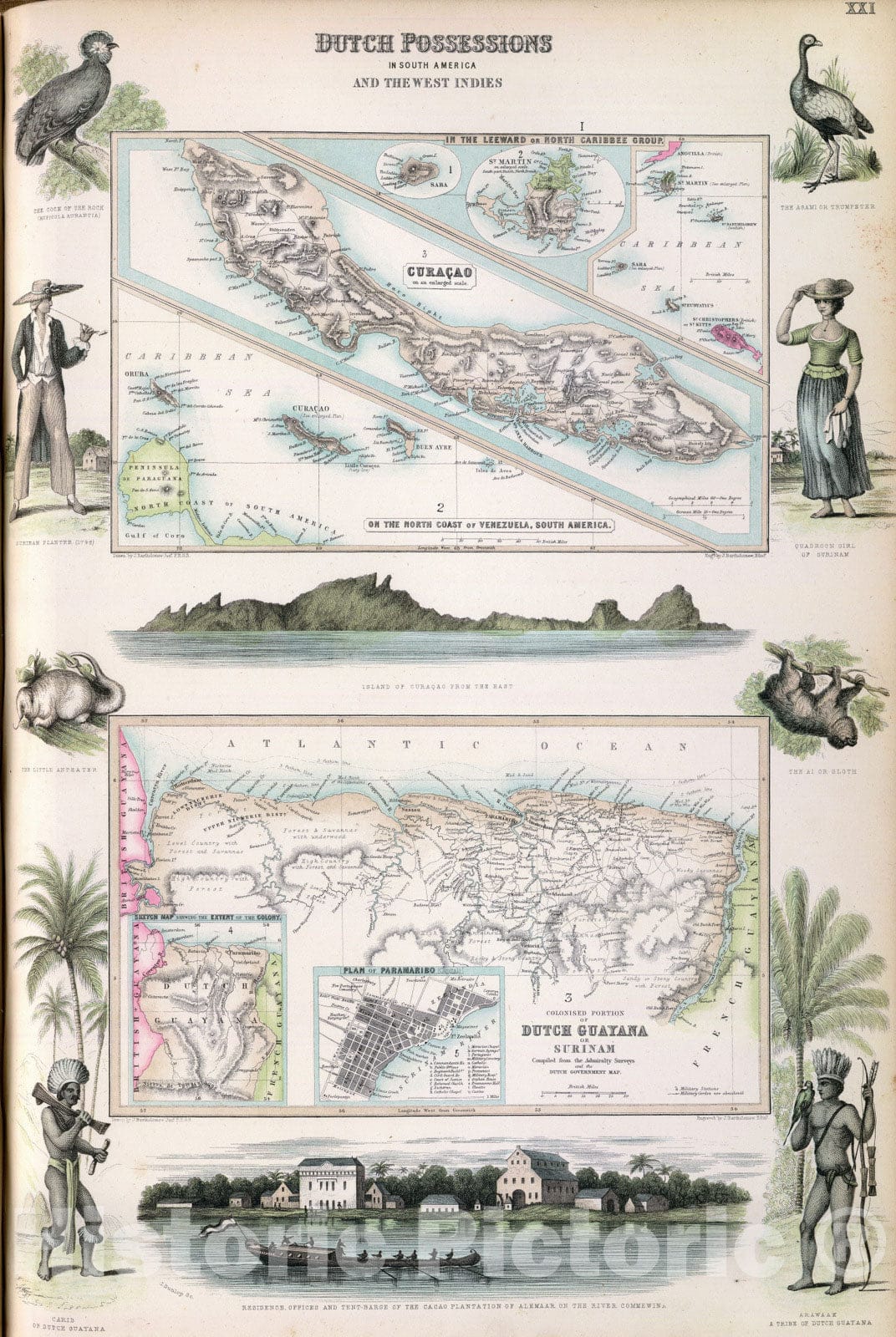 Historic Map : 1872 Dutch Possessions in South America and the West Indies. - Vintage Wall Art