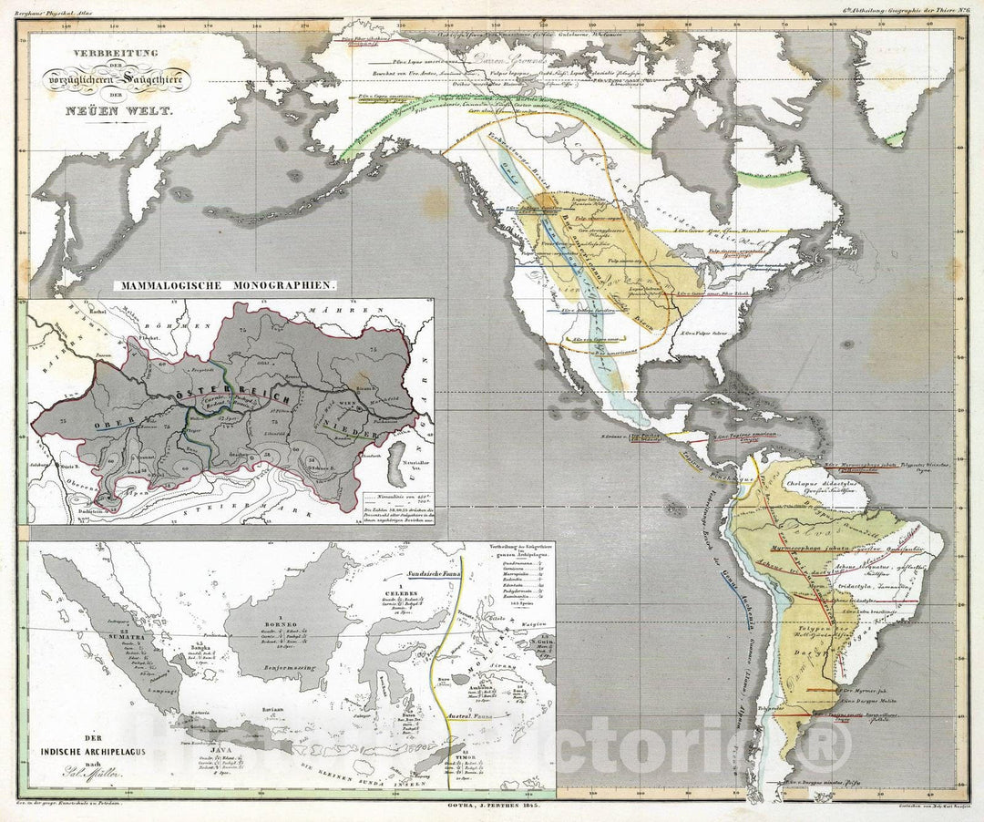 Historic Map : Austria, , Western Hemisphere 1845 Verbreitung der vorzuglicheren Saugethiere der Neuen Welt. , Vintage Wall Art