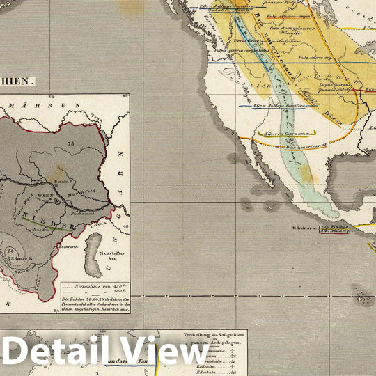 Historic Map : Austria, , Western Hemisphere 1845 Verbreitung der vorzuglicheren Saugethiere der Neuen Welt. , Vintage Wall Art