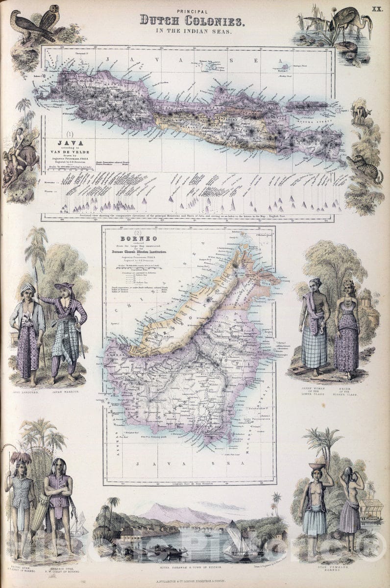 Historic Map : 1872 Principal Dutch Colonies in the Indian Seas. - Vintage Wall Art