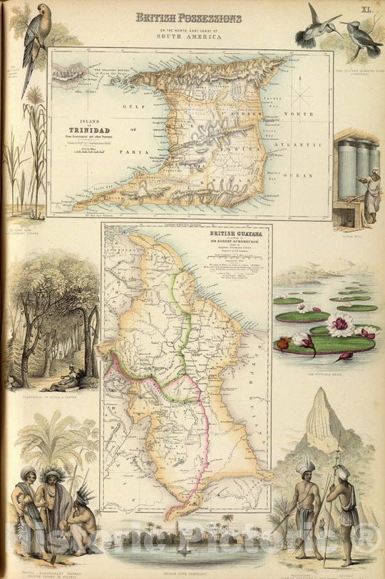 Historic Map : 1872 British Possessions on the North East Coast of South America. - Vintage Wall Art