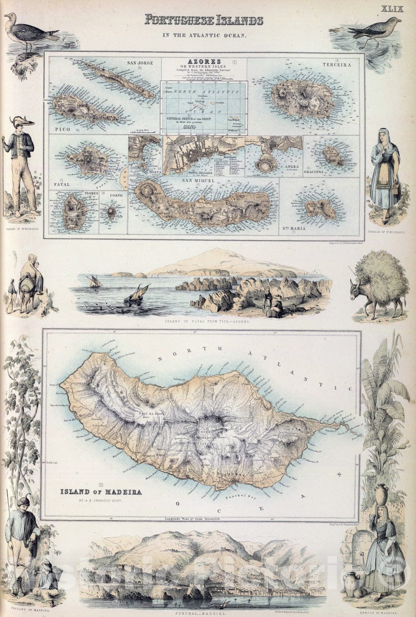 Historic Map : 1872 Portuguese Islands in the Atlantic Ocean. - Vintage Wall Art