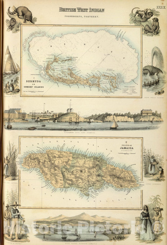 Historic Map : 1872 British West Indian Possessions, Northern. - Vintage Wall Art