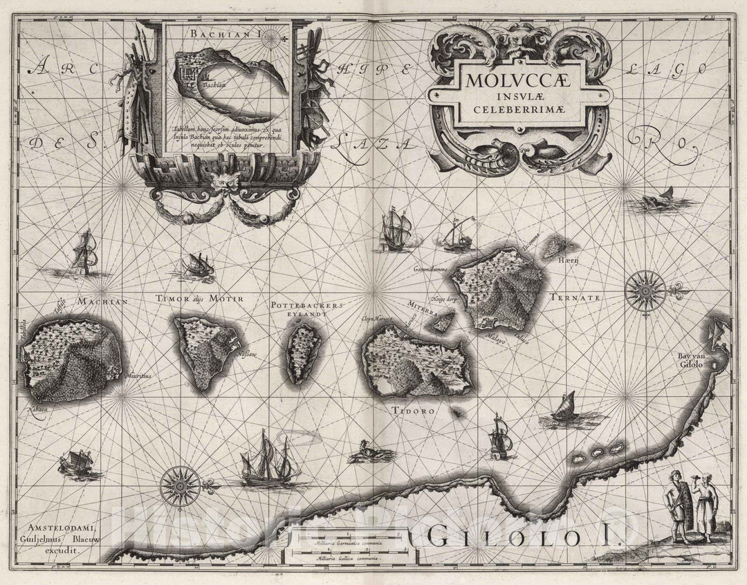 Historic Map : North Maluku (Indonesia) 1630 Moluccae Insula Celeberrimae. , Vintage Wall Art