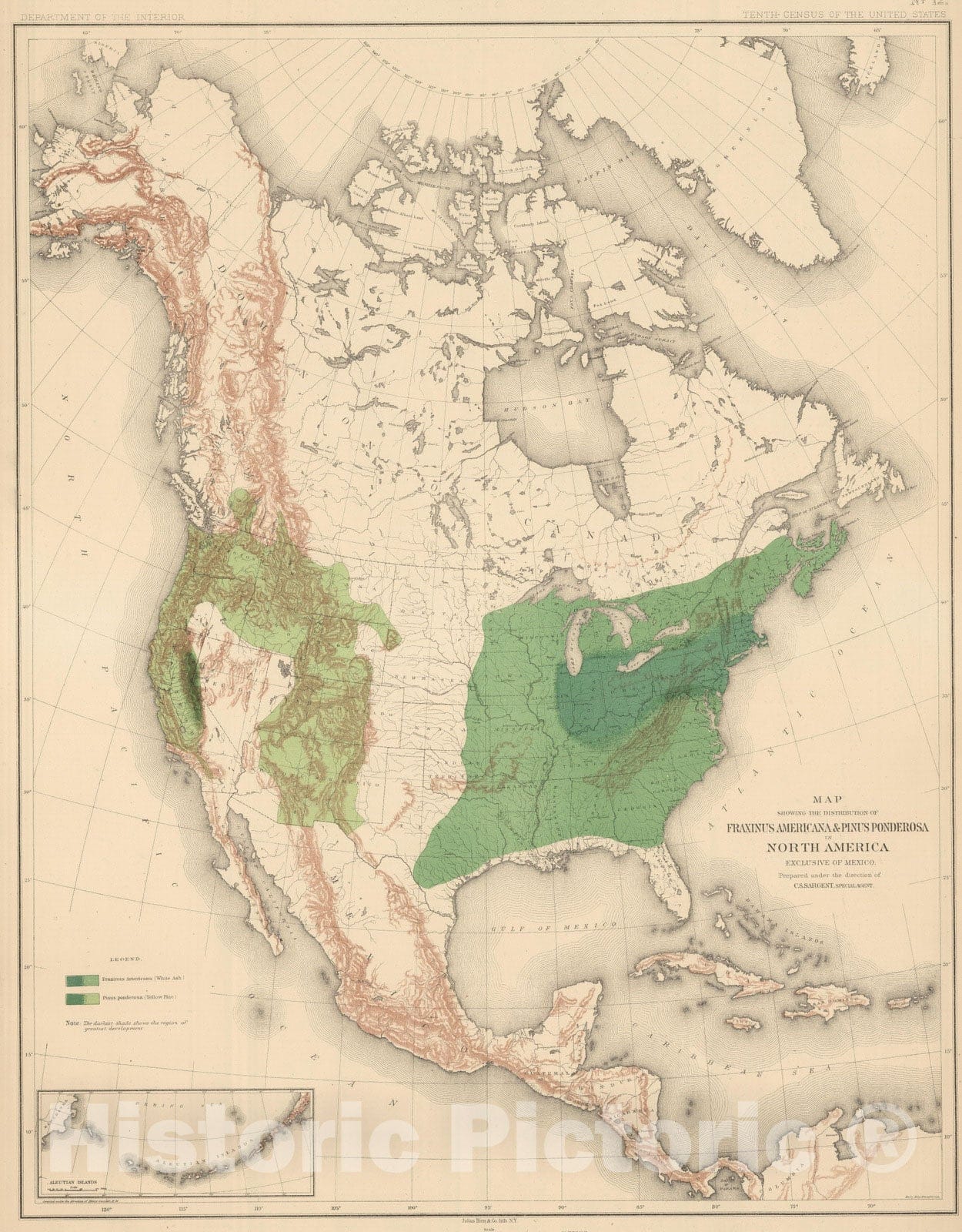 Historic Map : 1884 Distribution of Fraxinus Americana & Pinus Ponderosa in North America. - Vintage Wall Art