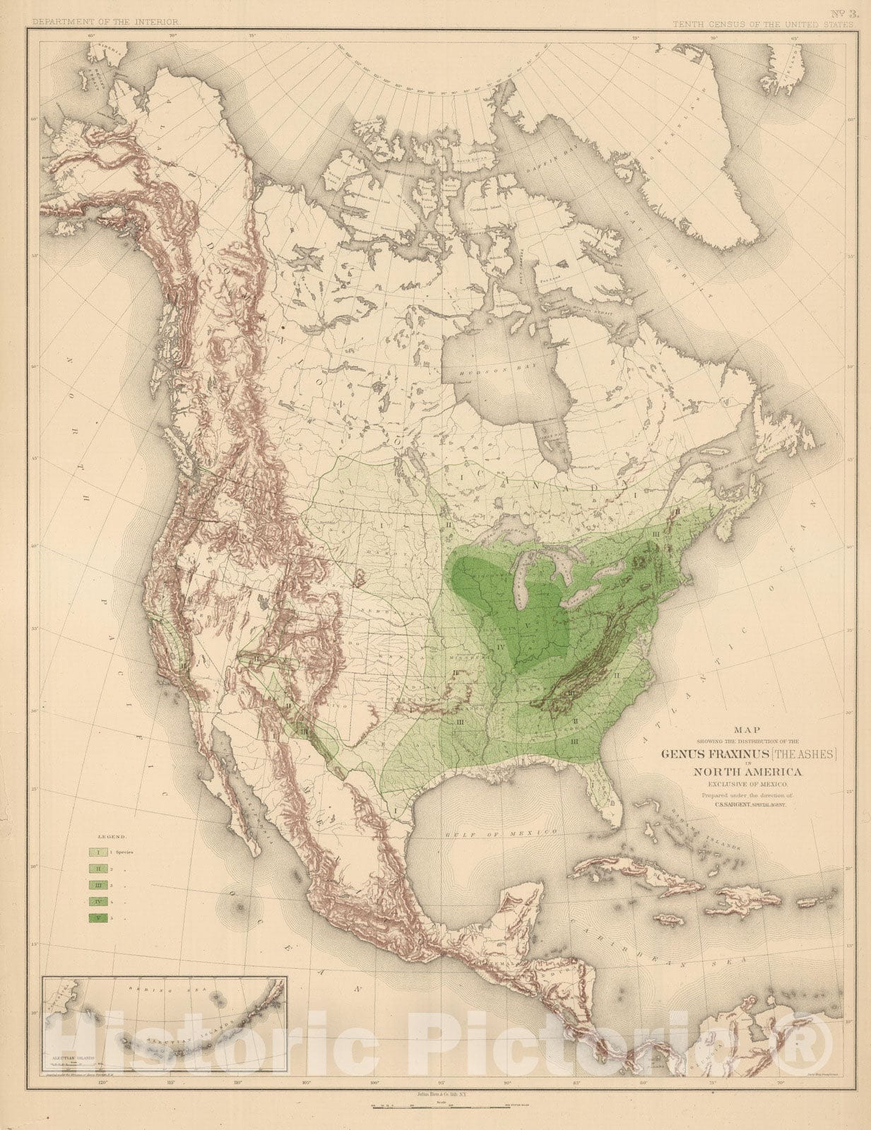 Historic Map : 1884 Distribution of Genus Fraxinus [The Ashes] in North America. - Vintage Wall Art