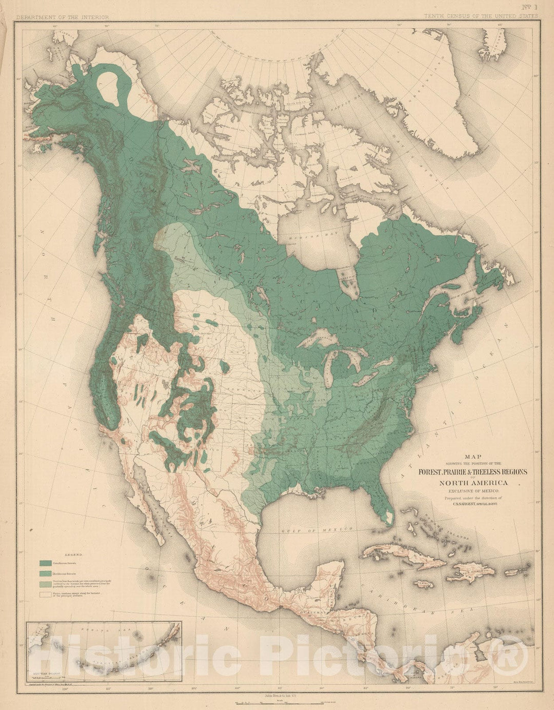 Historic Map : 1884 Position of the Forest, Prairie and Treeless Regions of North America - Vintage Wall Art