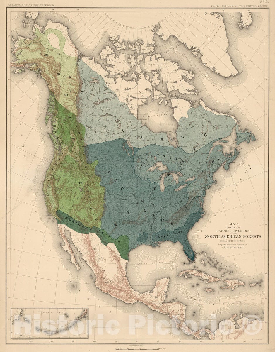 Historic Map : 1884 Natural Divisions of the North American Forests. - Vintage Wall Art