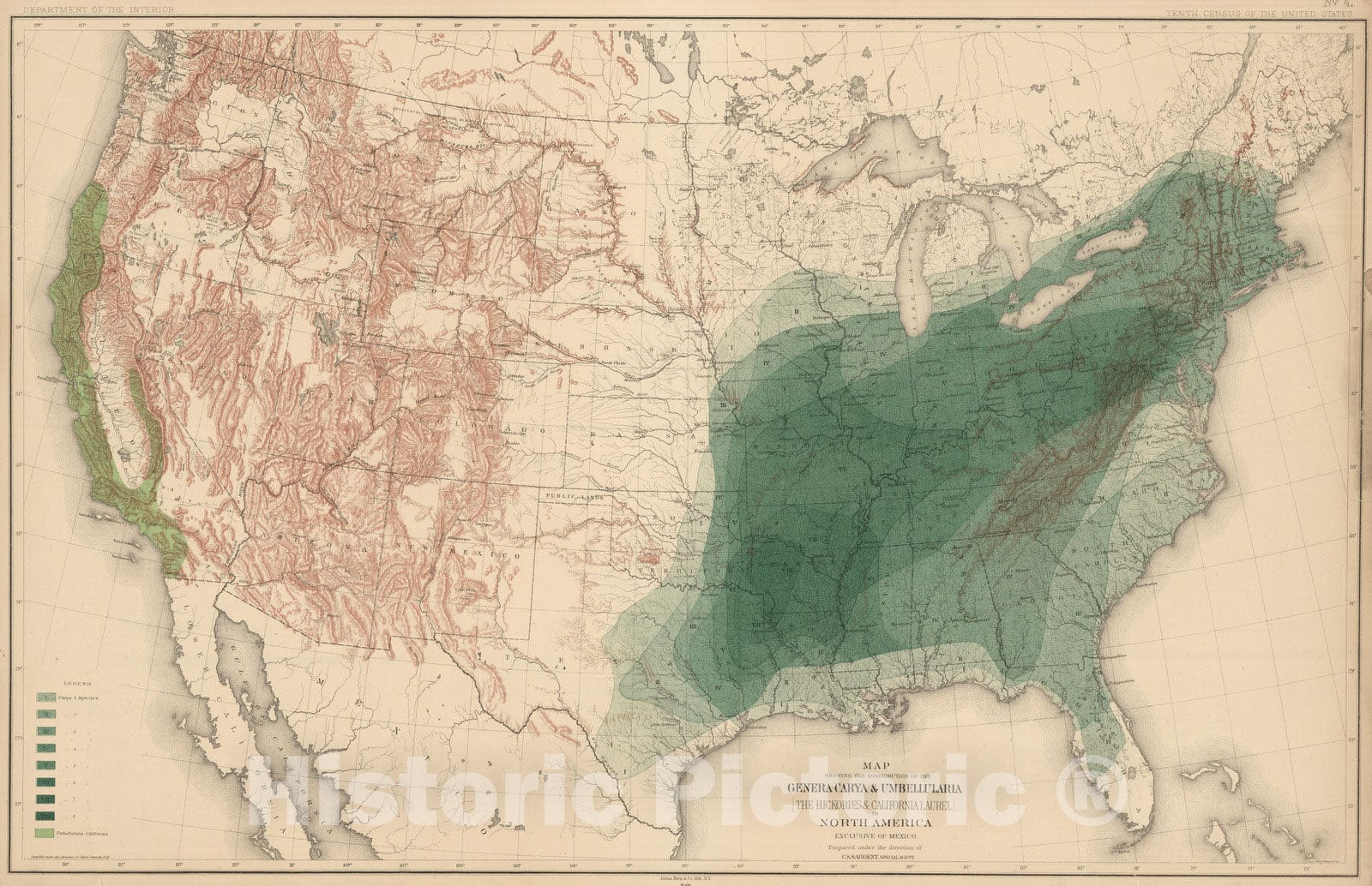 Historic Map : 1884 Distribution of the Genera Carya & Umbellularia [The Hickories & California Bay Laurel] in North America. - Vintage Wall Art