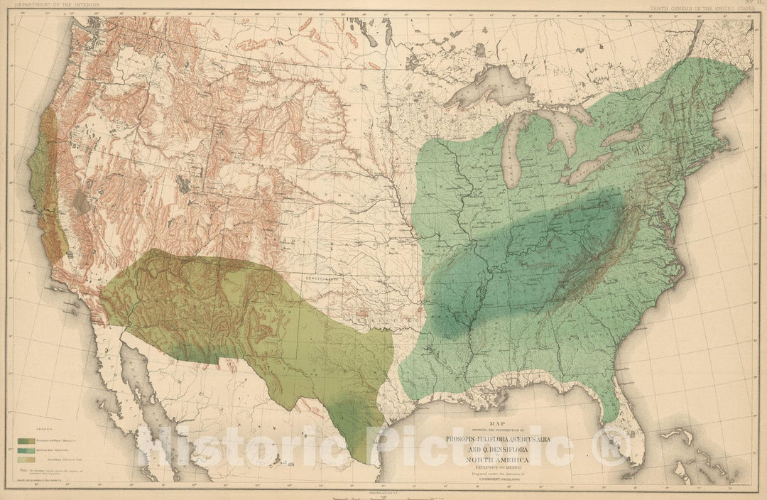 Historic Map : 1884 Distribution of Prosopsis Juliflora, Quercus Alba and Quercus Densiflora in North America. - Vintage Wall Art