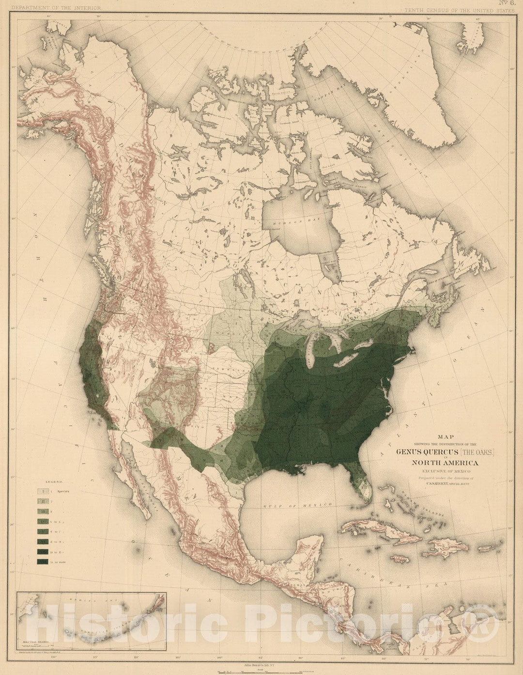 Historic Map : 1884 Distribution of the Genus Quercus [The Oaks.] in North America. - Vintage Wall Art