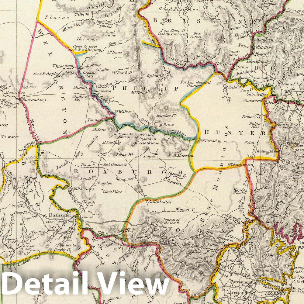 Historic Map : 1833 New South Wales, Sydney. - Vintage Wall Art