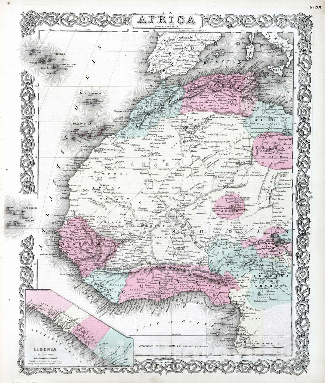 Historic Map : 1869 West Africa. - Vintage Wall Art