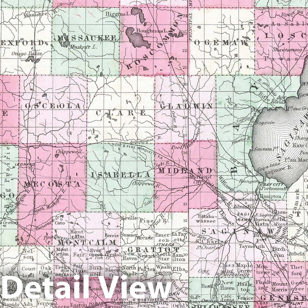 Historic Map : 1865 Michigan. - Vintage Wall Art