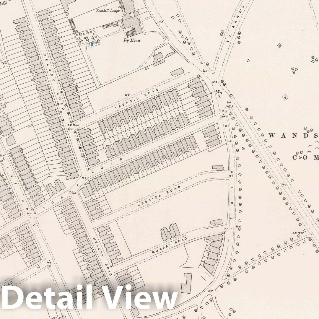 Historic Map : Ordnance Survey Maps, London, Five feet to The Mile. London Sheet X.69, 1895 City Atlas - Vintage Wall Art