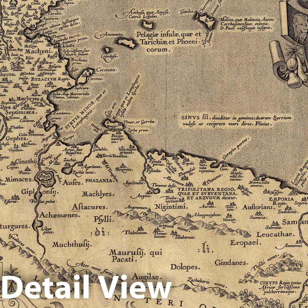 Historic Map : Lybia, Africa, North (xxxii) Africae Propriae Tabula, 1590 Atlas , Vintage Wall Art