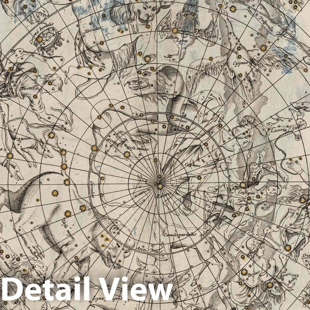 Historic Map : Hemisphaerium Coeli Boreale, 1742 Celestial Atlas v1