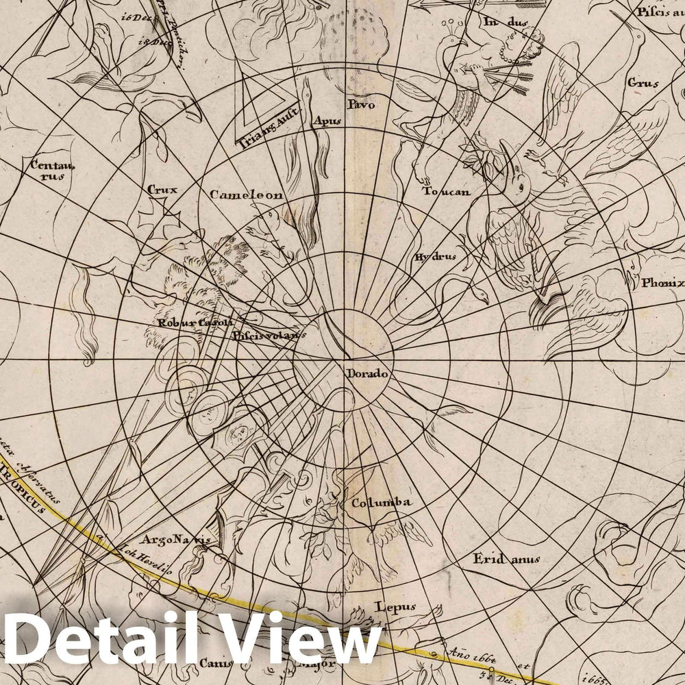 Historic Map : Motus Come Tarum in Hemisphaerio Australi, 1742 Celestial Atlas - Vintage Wall Art