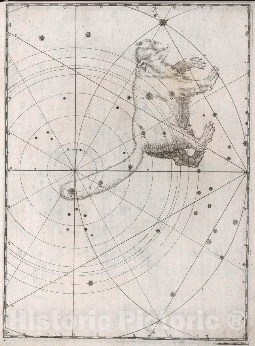 Historic Map : Constellation: Ursa Minor, Small Bear, 1655 Celestial Atlas - Vintage Wall Art