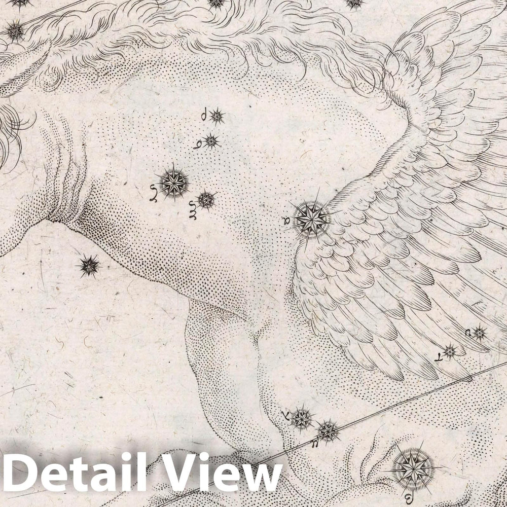 Historic Map : Constellation: Pegasus, The Winged Horse, 1655 Celestial Atlas - Vintage Wall Art