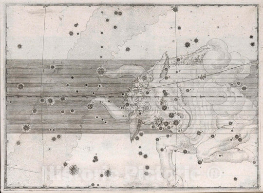 Historic Map : Constellation: Taurus, The Bull, 1655 Celestial Atlas - Vintage Wall Art