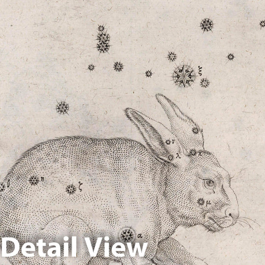 Historic Map : Constellation: Lepus, The Rabbit, 1655 Celestial Atlas - Vintage Wall Art