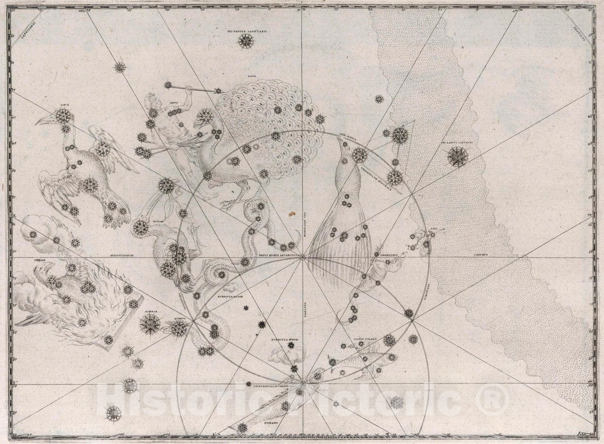 Historic Map : Constellations: Apis Indica; Hydra; Pavo; Indus; Grus; Phoenix; Toucan; Piscis Volans; Chameleon; etc, 1655 Celestial Atlas - Vintage Wall Art