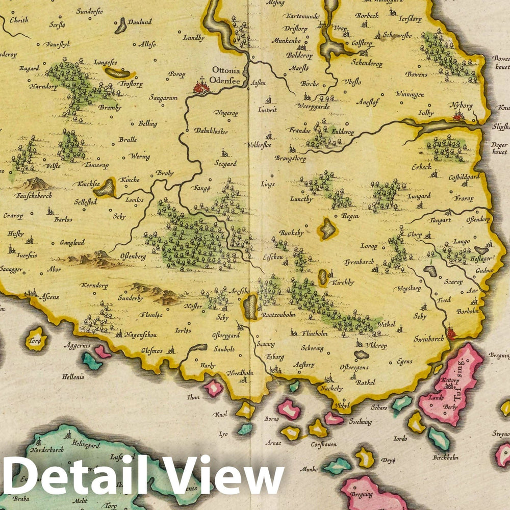 Historic Map : Denmark, Funen Island (Denmark) Atlas Maior Sive Cosmographia Blaviana, Fionia vulgo Fvnen, 1665 Atlas , Vintage Wall Art