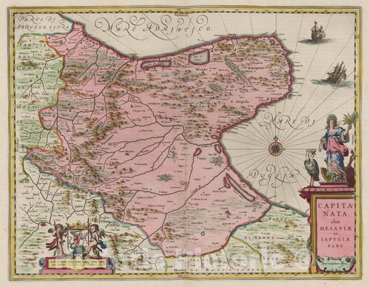 Historic Wall Map : Italy, Foggia Region (Italy) Atlas Maior Sive Cosmographia Blaviana, Capitanata, 1665 Atlas , Vintage Wall Art