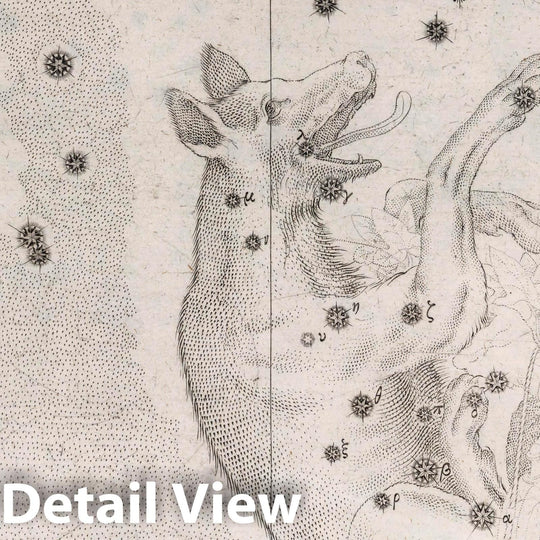 Historic Wall Map : Constellation: Lupus, The Wolf, 1655 Celestial Atlas - Vintage Wall Art