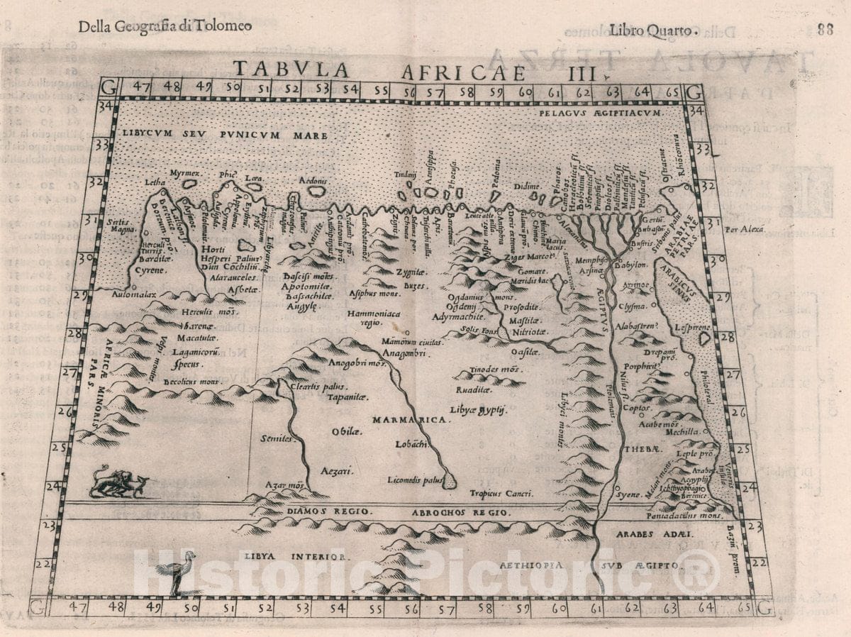 Historic Map : Egypt, Africa, Northeast Tabula Aphricae III. Della Geografia di Tolomeo. Libro Quarto, 1599 Atlas , Vintage Wall Art