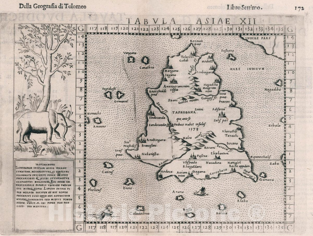 Historic Map : Sri Lanka, , Asia Tabvla Asiae XII. Della Geografia di Tolomeo. Libro Settimo, 1599 Atlas , Vintage Wall Art