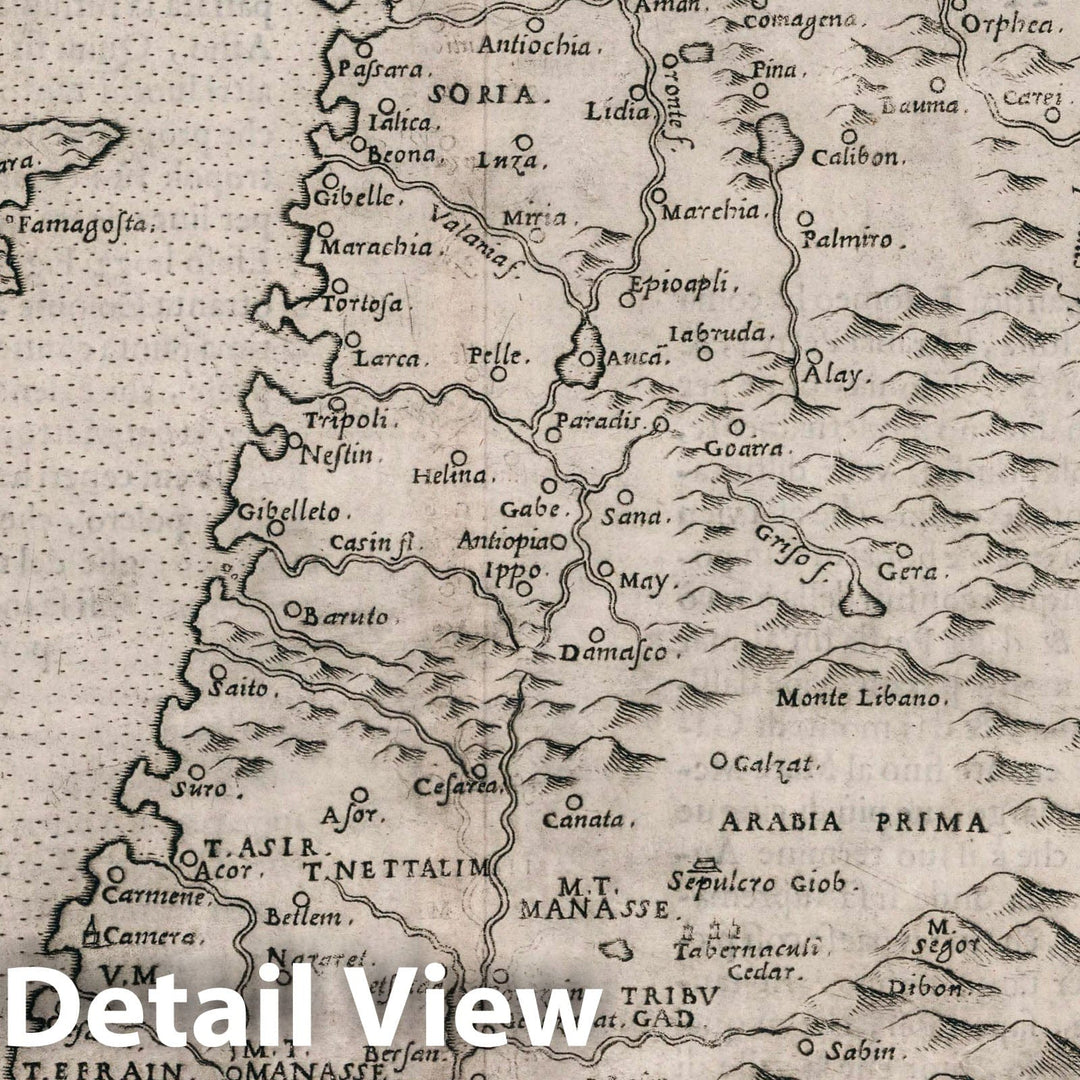 Historic Map : Syria, Holy Land, Asia Soria et Terra Santa Nuova Tavola, 1599 Atlas , Vintage Wall Art