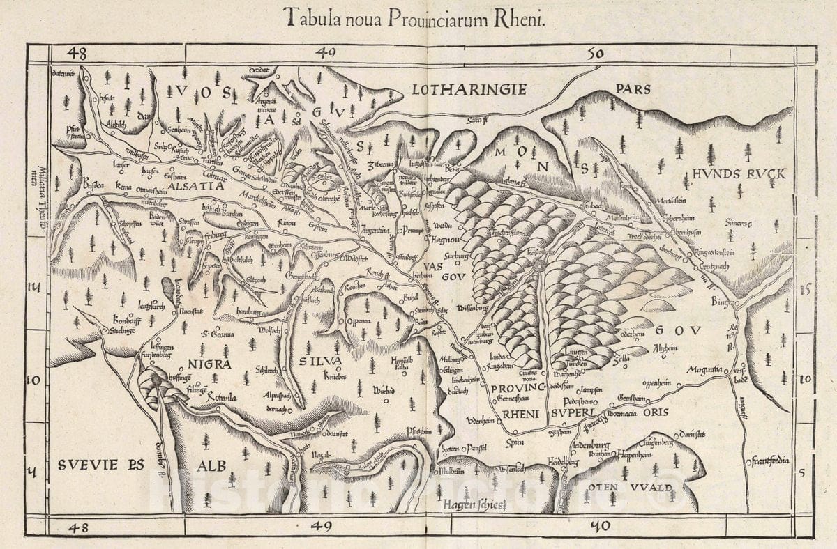 Historic Map : Rhine River Valley Tabula noua Prouinciarum Rheni, 1541 Atlas , Vintage Wall Art